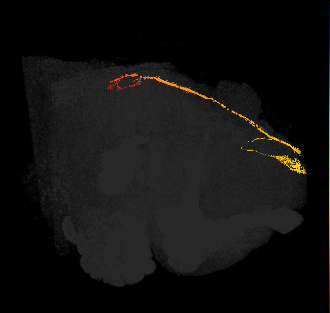 263522664