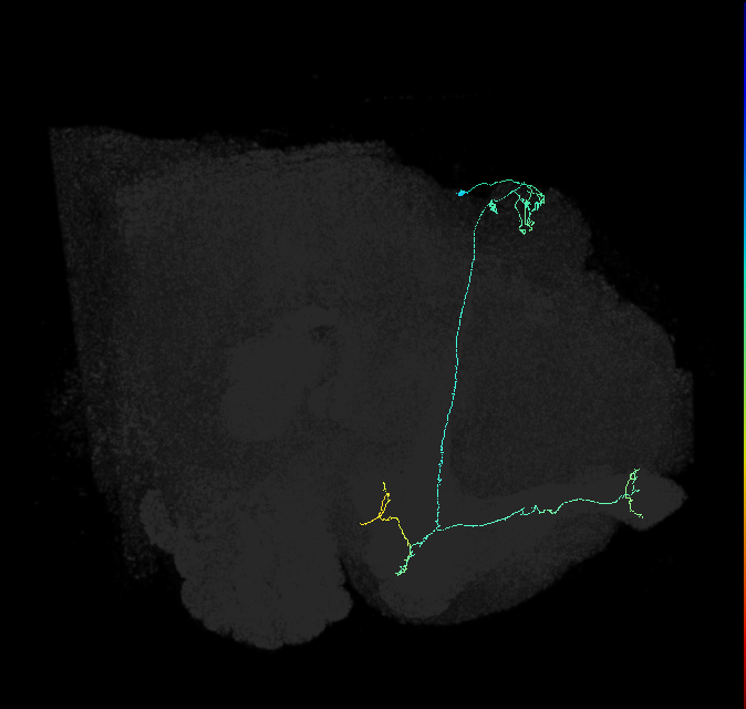 5812983454