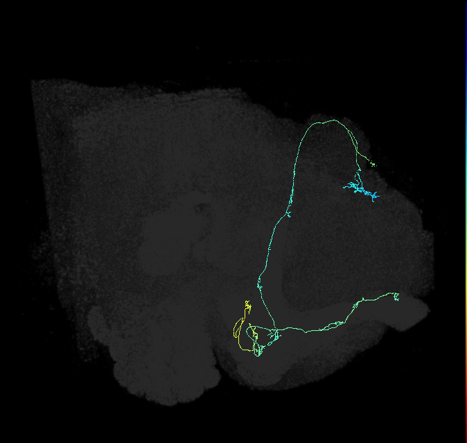 5812982780