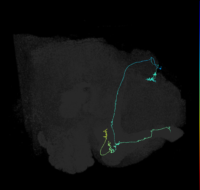 5812980938
