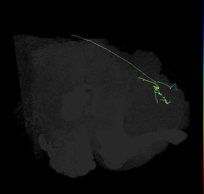 5812980506