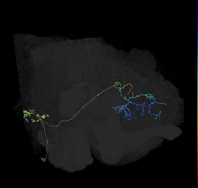 483025785