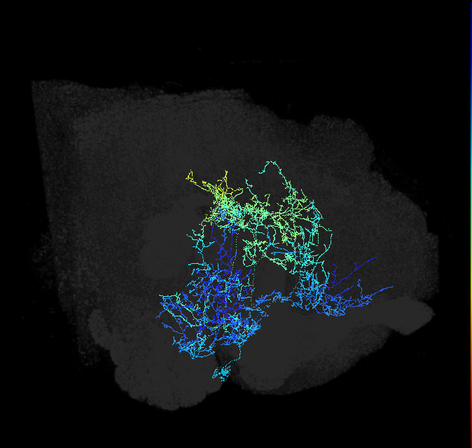 517086196