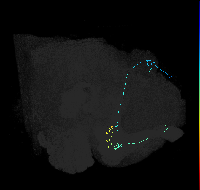 518532490