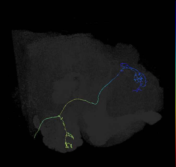 480927537