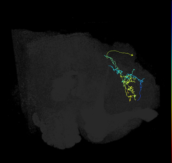 5812981506