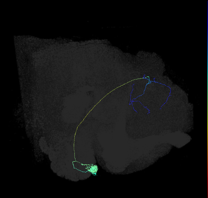 1640568102