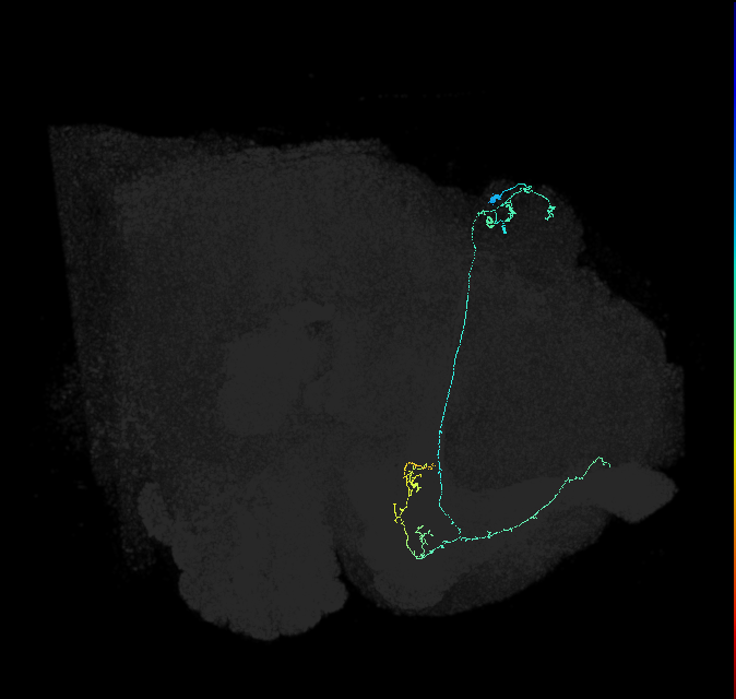 5812981570