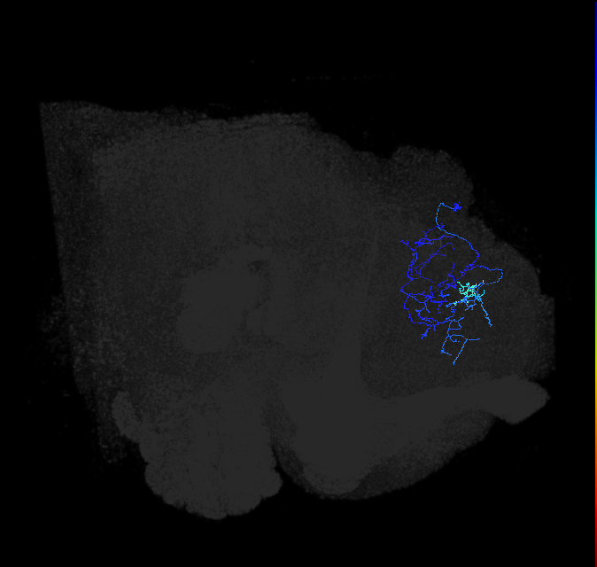480594756