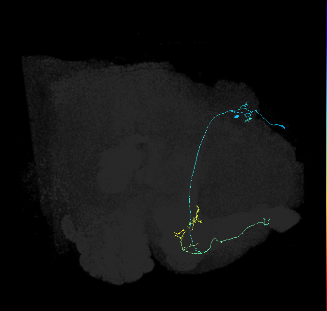 5812981341