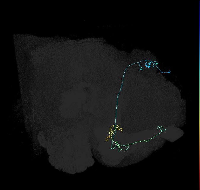 5812981563