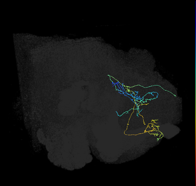 5812980326