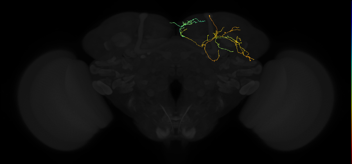 5812980326