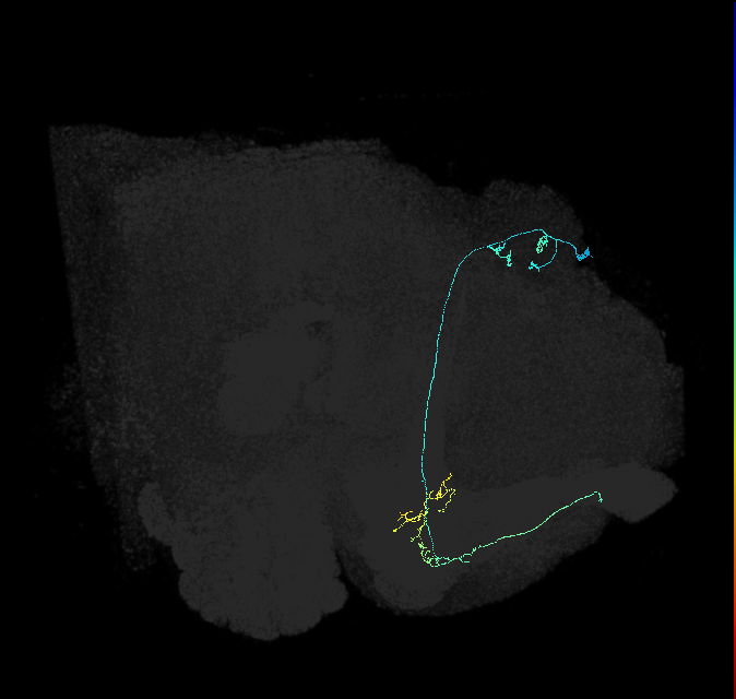 580947602