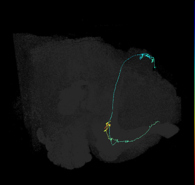 548549000