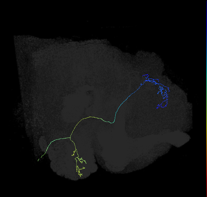 541632990