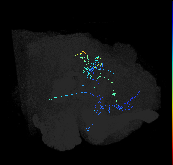 1099964617