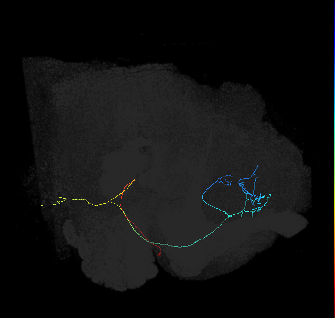 578189223