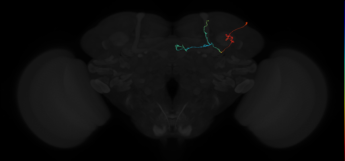 548553386