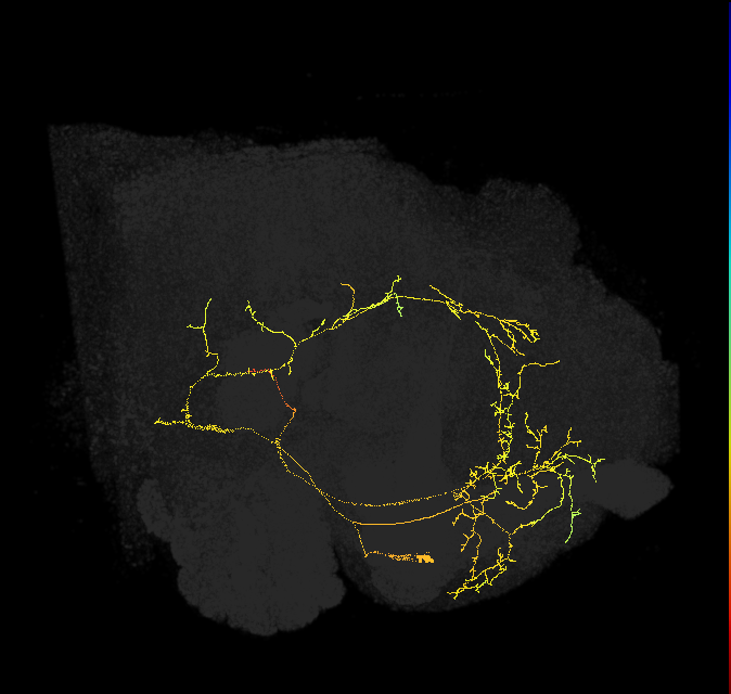 579648510