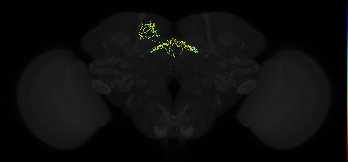 577373434