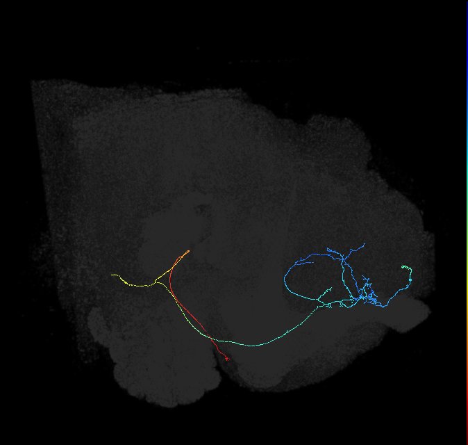 580209760
