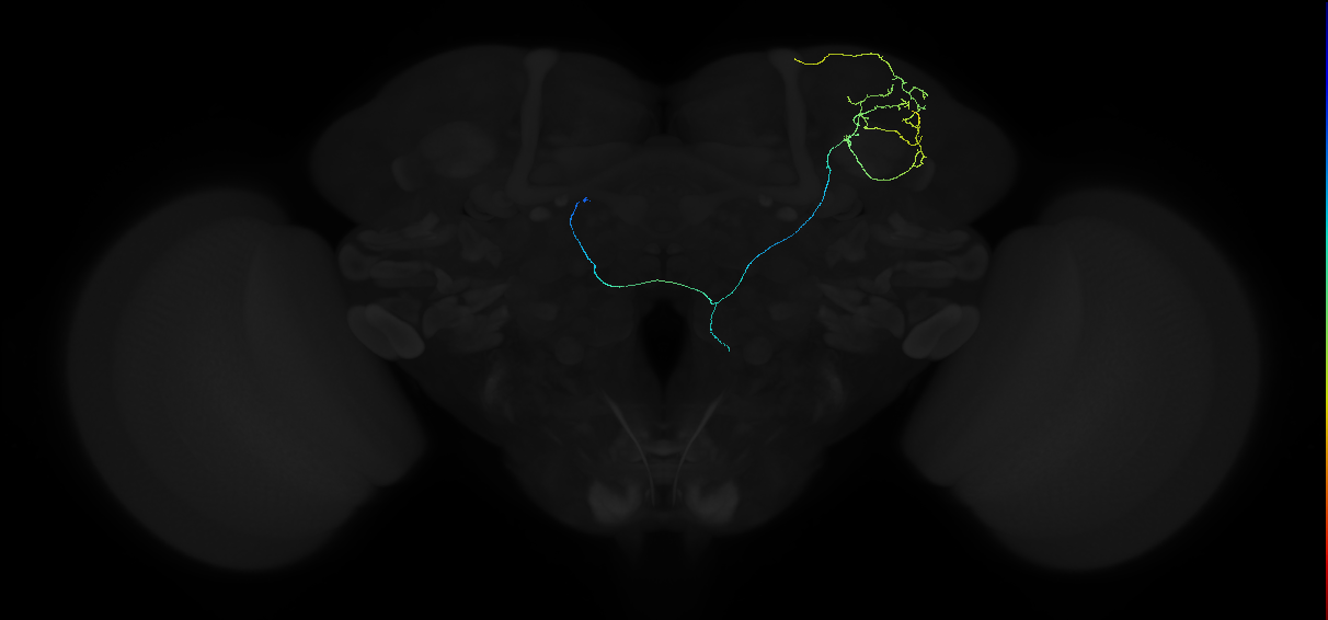 580209760