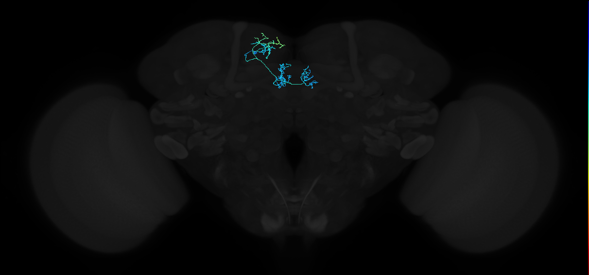 5812979560
