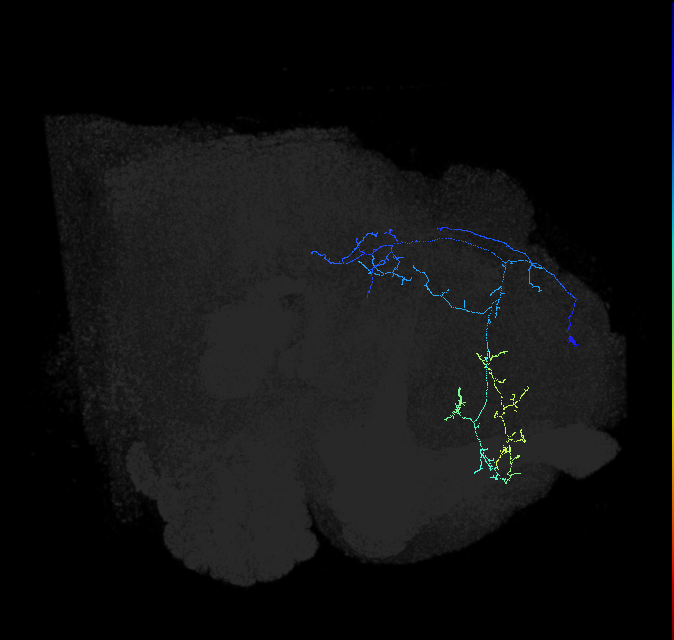 418175238