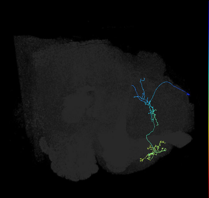 510278853
