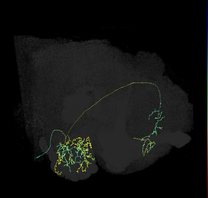1411784734
