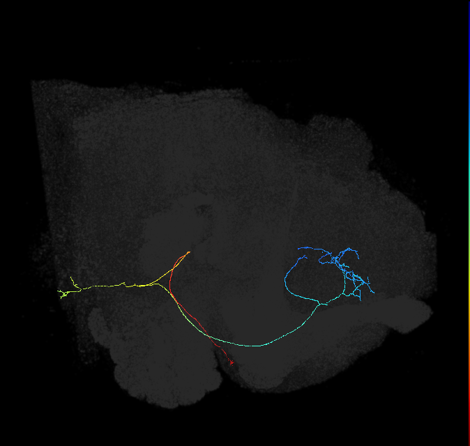5812980516