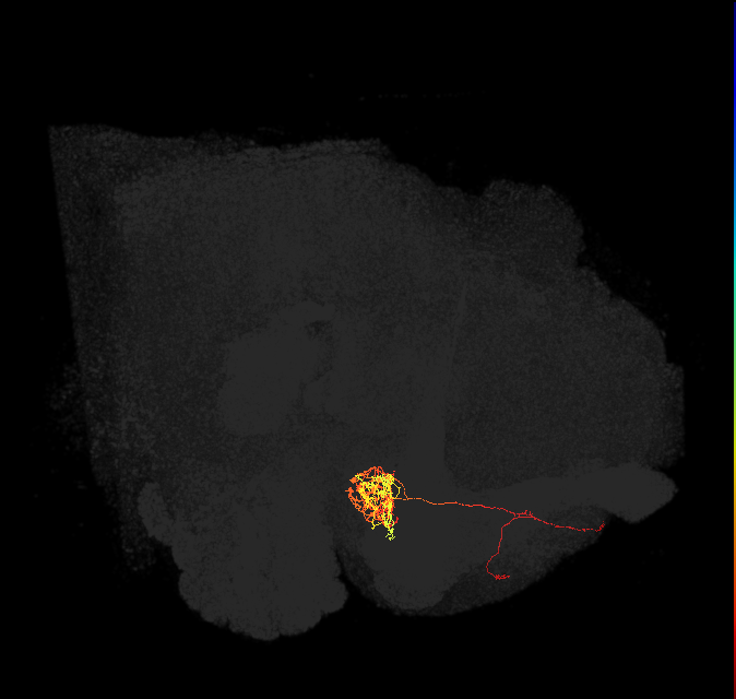 551790913