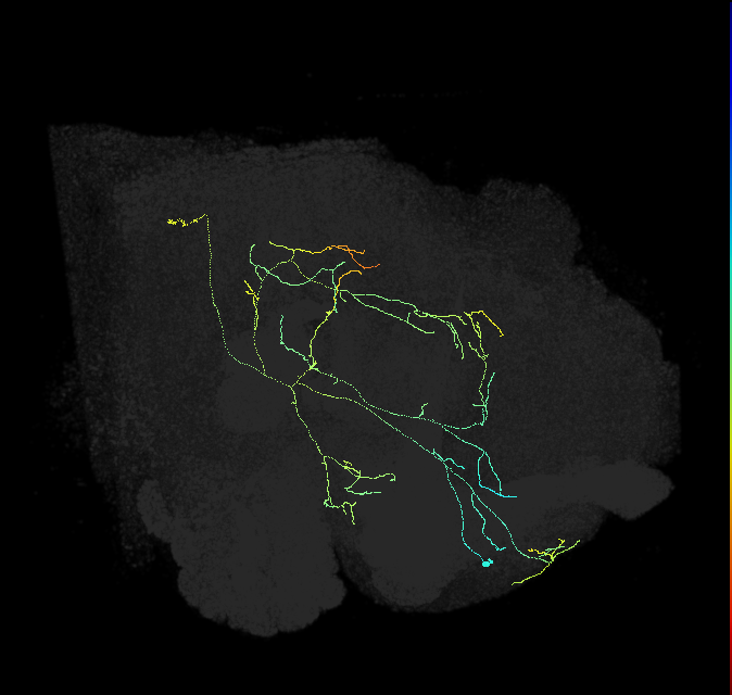 1539309006