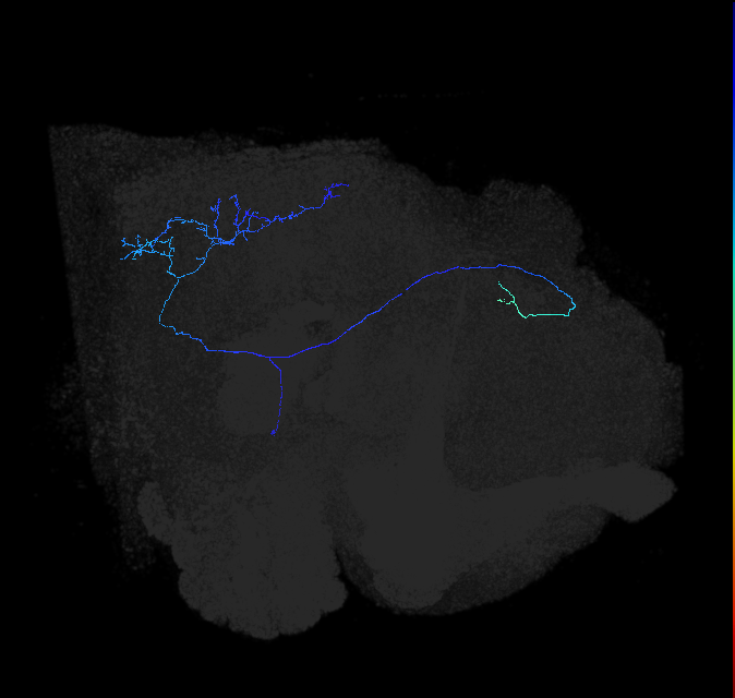 1685147024