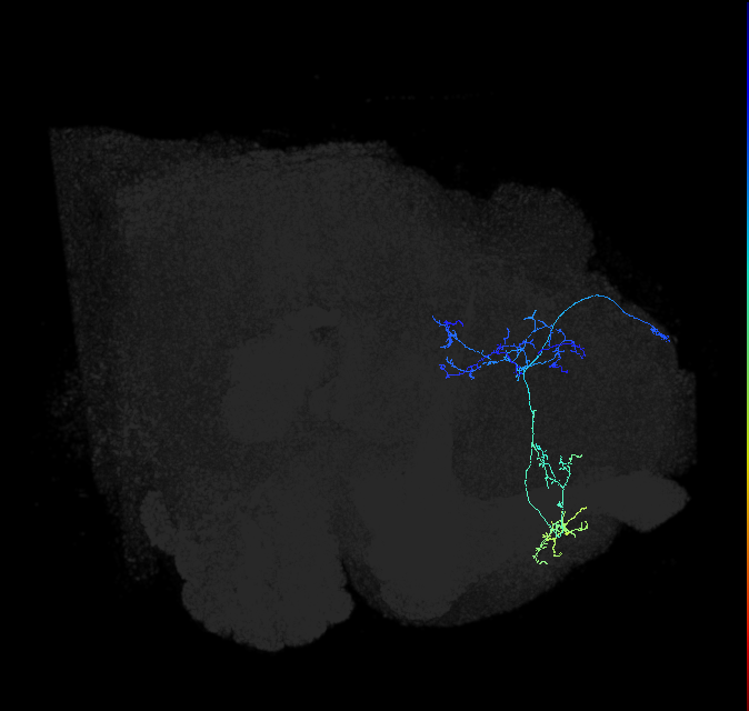 5812980658