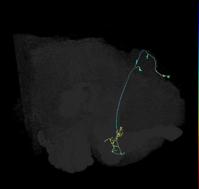 5812982579