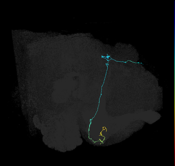 5812982556