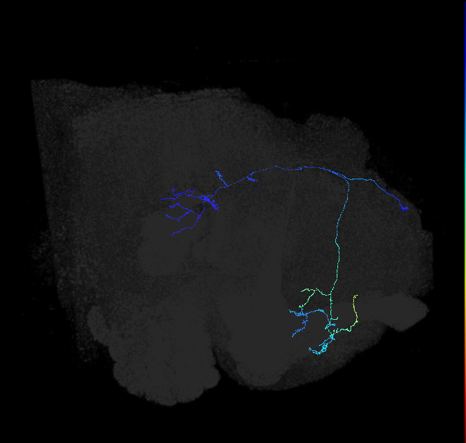 5812980456