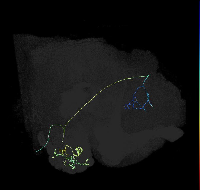 1765415970