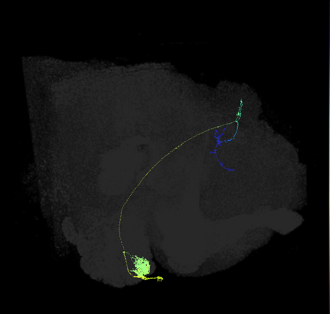 1536947502