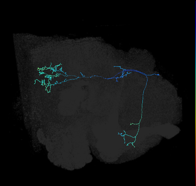 540290380