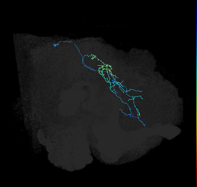 1070655552