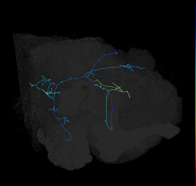 1009652662