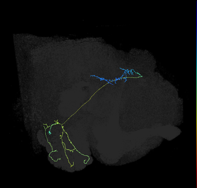 1856820042