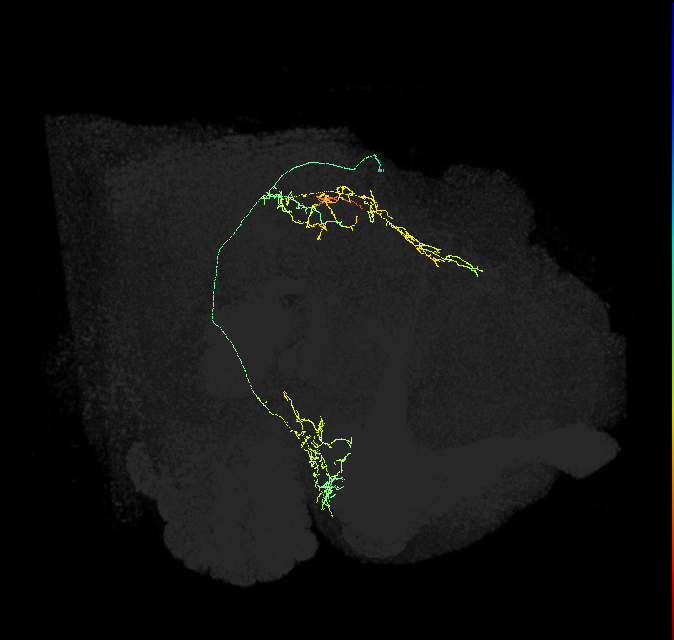 1036646944