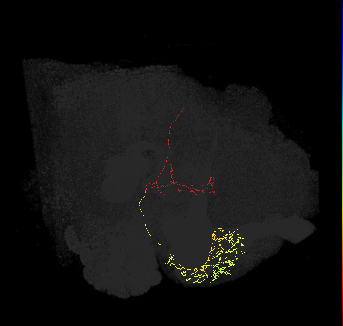 5812983110