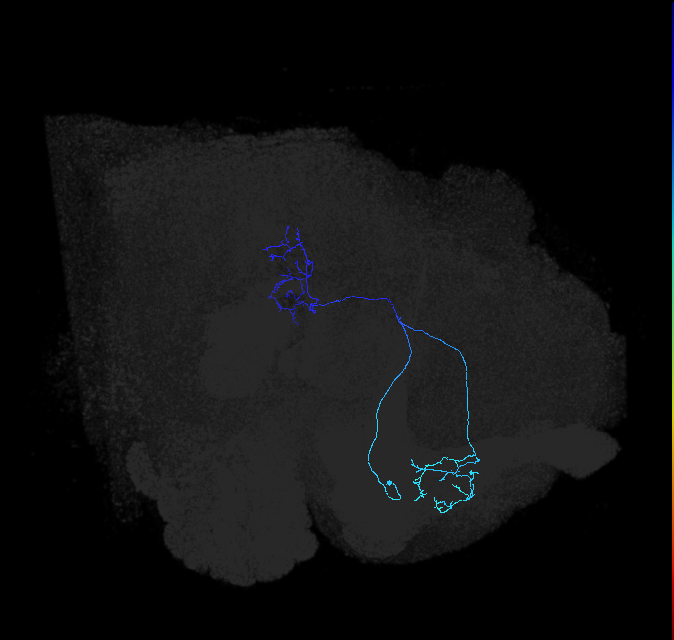 1535769552