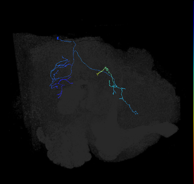 1070638675