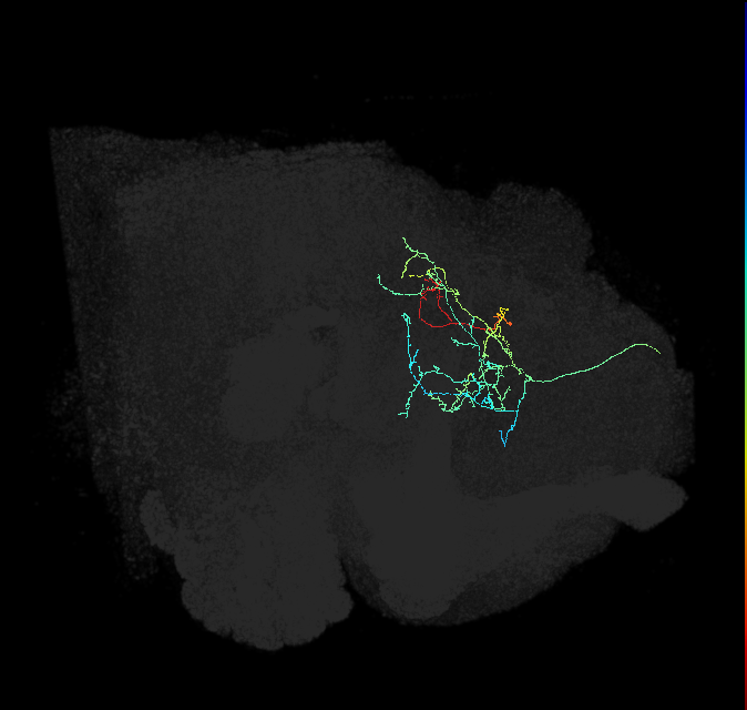450004504